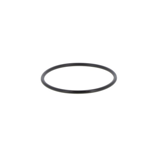 TX54828 MAYERS FILTER