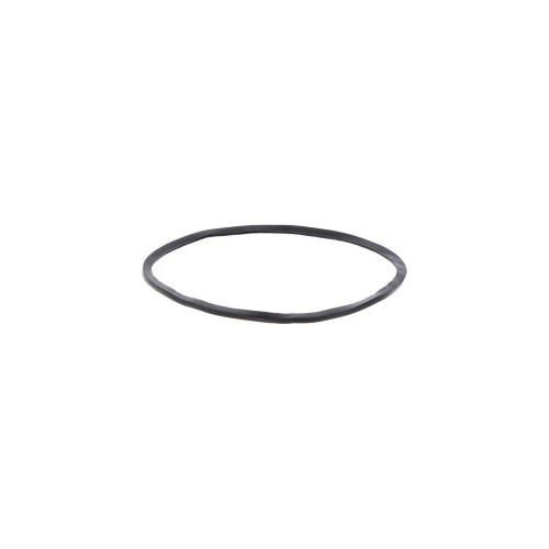 TX54887 MAYERS FILTER