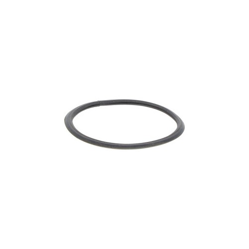 TX54831 MAYERS FILTER