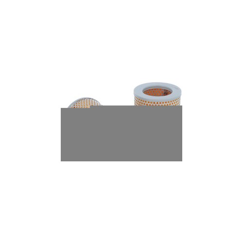 730080 RIETSCHLE