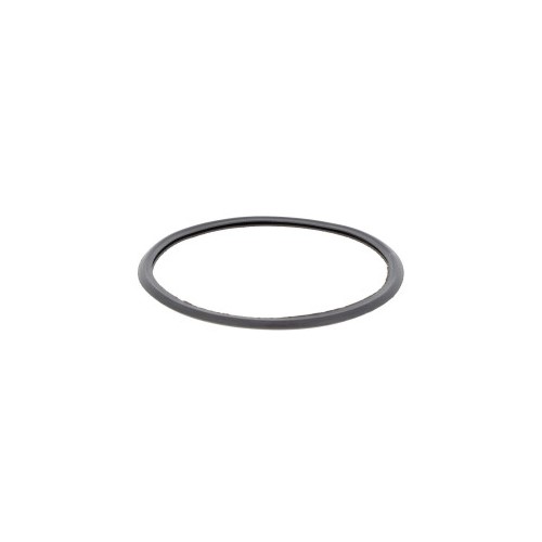TX54873 MAYERS FILTER